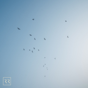 360黑客解密家居摄像头
